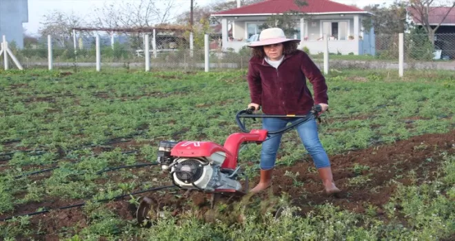 Şehirden köye dönen kadın girişimci tarıma yönelerek üretici oldu