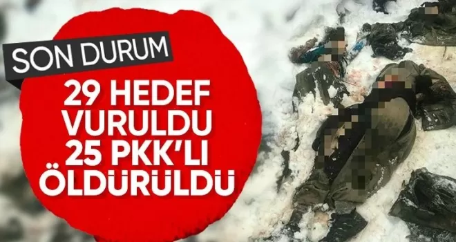 Şehitlerin kanı yerde kalmadı: Teröristler etkisiz hale getirildi