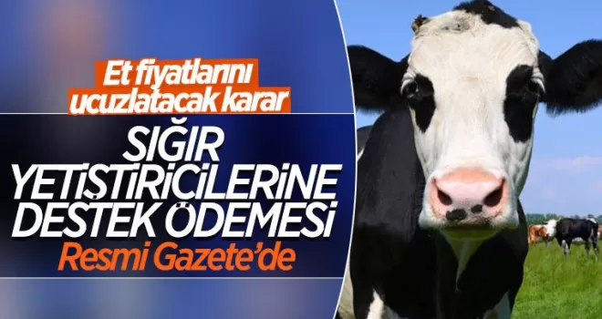 Sığır yetiştiricilerine destek ödemesi Resmi Gazete'de