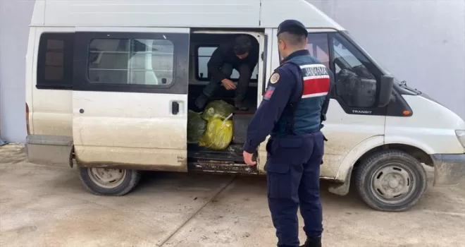 Sinop’ta 11 düzensiz göçmen yakalandı