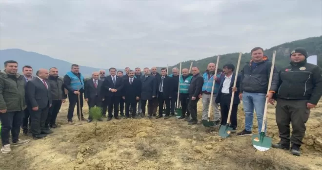 Sinop'ta 11 Kasım Ağaçlandırma Günü etkinlikleri
