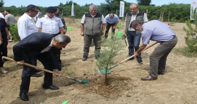Sinop’ta 15 Temmuz şehitleri için 251 fidan toprakla buluşturuldu