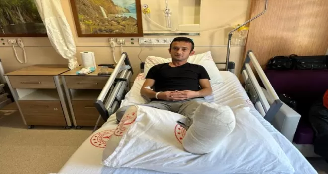 Sinop’ta ayının saldırısına uğrayan kişi ayağından yaralandı