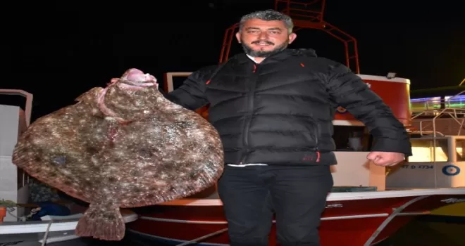 Sinop'ta balıkçı ağına 10 kilogramlık kalkan balığı takıldı