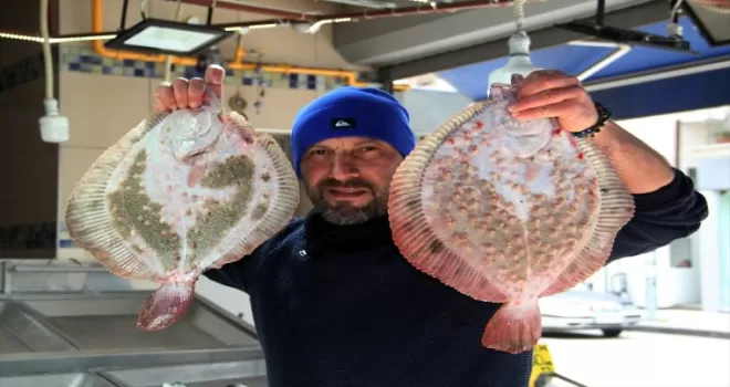 Sinop’ta balıkçılar verimli geçen sezonun mutluluğunu yaşıyor