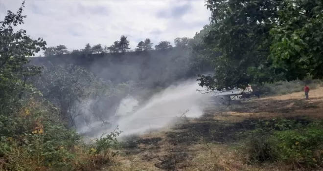 Sinop’ta çıkan orman yangını söndürüldü