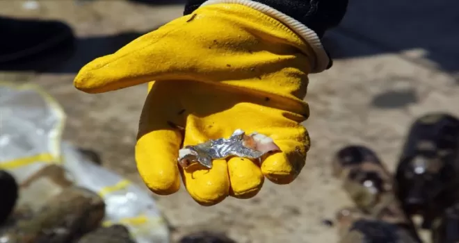 Sinop’ta dalgıçlar deniz dibi temizliği yaptı, denizden “takma diş“ bile çıktı