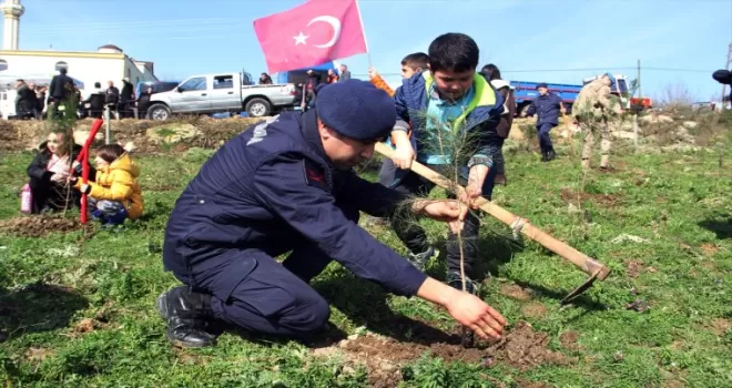 Sinop’ta depremde hayatını kaybedenler için hatıra ormanı oluşturuldu