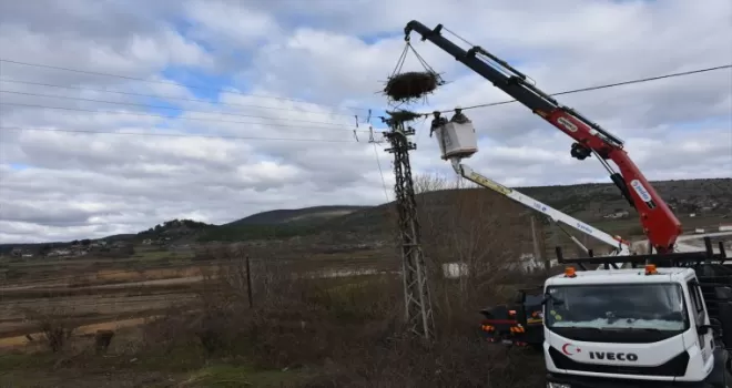 Sinop’ta elektrik direklerine leylekler için özel yuvalar yerleştirildi