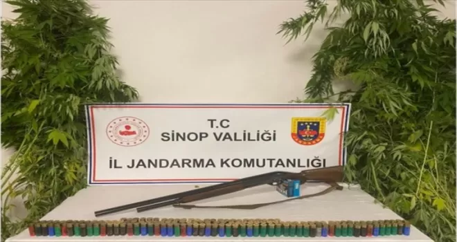 Sinop’ta uyuşturucu operasyonunda 1 kişi yakalandı