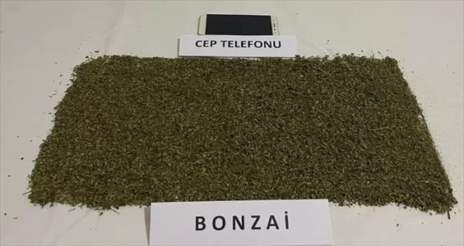 Sinop'ta uyuşturucu operasyonunda bir kişi yakalandı