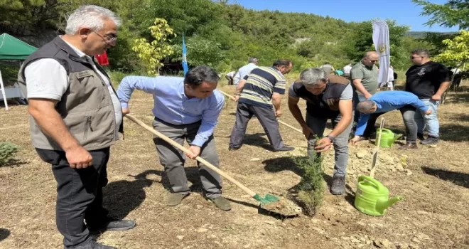 Sinop’un Gerze ilçesinde 15 Temmuz şehitleri anısına fidan dikildi