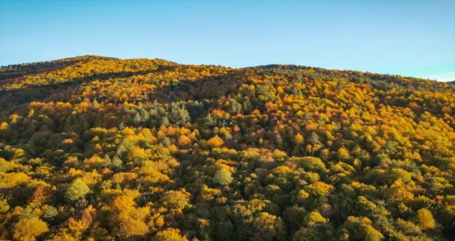 Sonbaharın güzelliklerini 450 metre yükseklikteki cam terastan izliyorlar