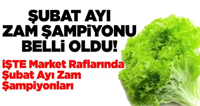 Şubat Ayı Zam Şampiyonu Belli Oldu! 