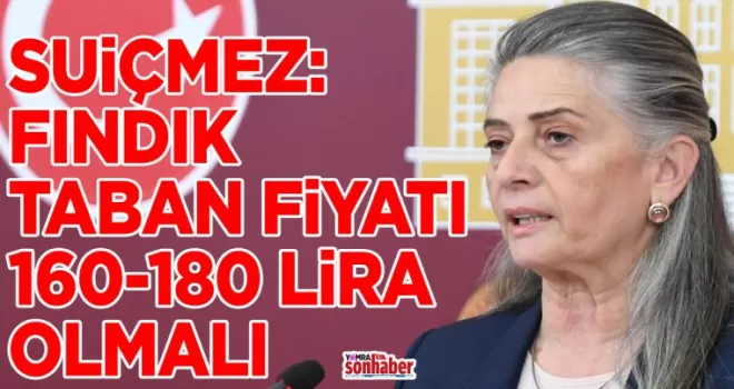 SUİÇMEZ: FINDIK TABAN FİYATI 160-180 LİRA ARASINDA OLMALI