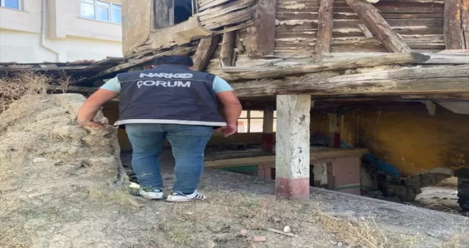Sungurlu’da narkotik denetimi yapıldı