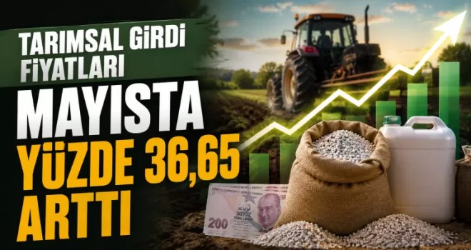 Tarımsal Girdi Fiyatları Mayısta Yüzde 36,65 Arttı