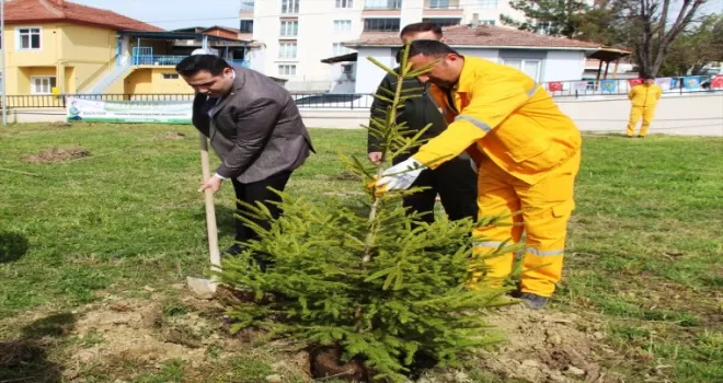 Taşova’da fidan dikme etkinliği düzenlendi