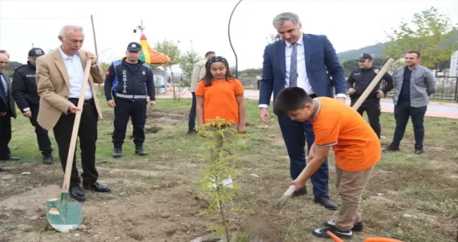 Taşova’da fidan dikme etkinliği düzenlendi