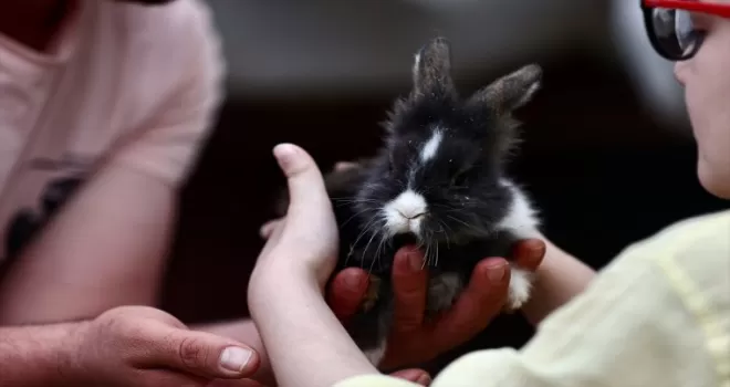 Tavşan “Yumoş“ ve yavruları özel öğrencilerin can dostu oldu