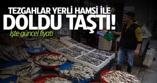 Tezgahlar yerli hamsi ile doldu taştı