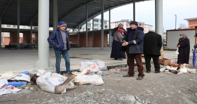 Tirit sezonunun başlamasıyla Havza’da kaz satışları arttı