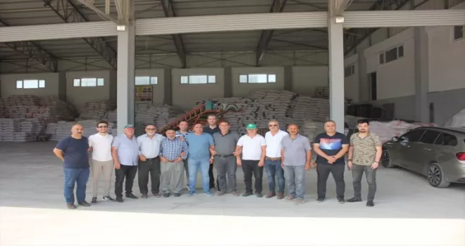 TMO, Amasya’nın Suluova ilçesinde hububat alımına başladı