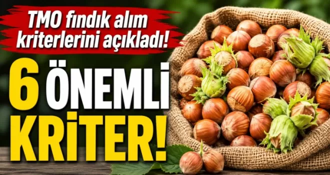 TMO fındık alım kriterlerini açıkladı! 6 önemli kriter