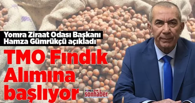 TMO Fındık Alımına başlıyor