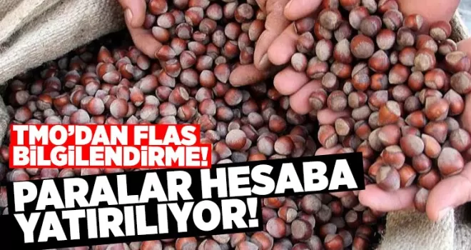 TMO, fındık üreticilerinin paralarını bugünden itibaren yatırmaya başladı!