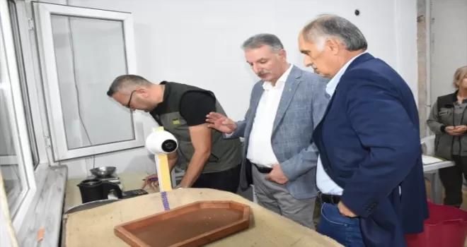 TMO Genel Müdürü Güldal, Giresun'da fındık alım merkezlerini ziyaret etti: