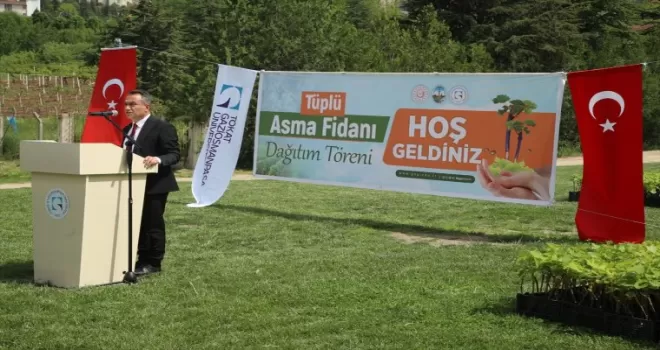 TOGÜ’de üretilen 2 bin aşılı asma fidanı üreticilere dağıtıldı