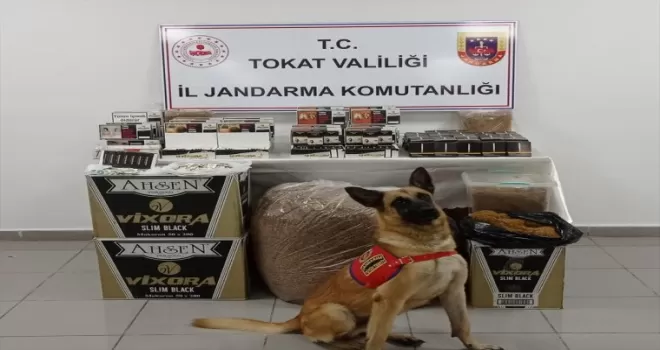 Tokat’ta 14 bin 680 makaron ele geçirildi