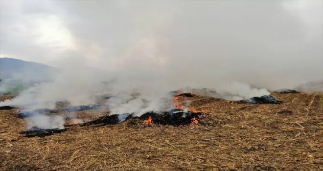 Tokat'ta anız yakan 3 kişiye idari para cezası verildi