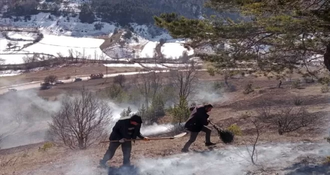 Tokat'ta arazide çıkan yangın söndürüldü