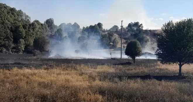 Tokat’ta çıkan anız yangını söndürüldü