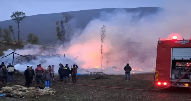 Tokat’ta çıkan yangında 50 koyun telef oldu