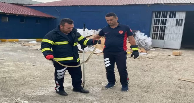Tokat’ta iş yerine giren yılan itfaiye tarafından yakalanarak doğaya salındı