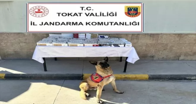 Tokat’ta jandarmadan kaçakçılıkla mücadele
