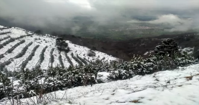 Tokat’ta kar yağışı etkili oldu