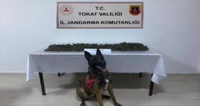 Tokat’ta uyuşturucu madde sattığı öne sürülen zanlı tutuklandı