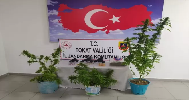 Tokat'ta uyuşturucu operasyonunda 2 kişi yakalandı