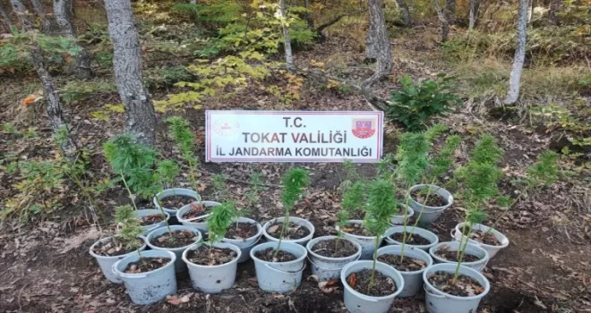 Tokat'ta uyuşturucu operasyonunda 2 zanlı yakalandı