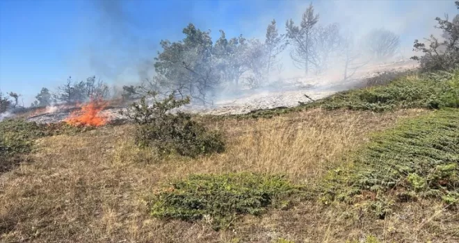 Tokat’taki örtü yangını söndürüldü