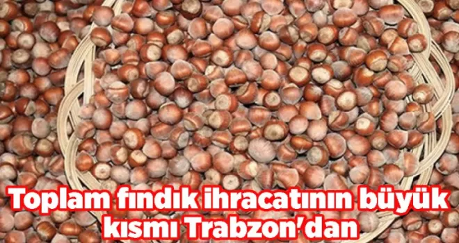 Toplam fındık ihracatının büyük kısmı Trabzon’dan