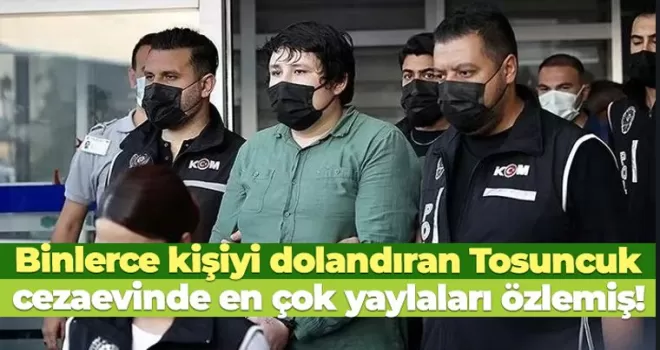 Tosuncuk: Yapacağım ilk şey yaylaya çıkmak
