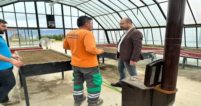 Tosya’da parklara 40 bin hercai menekşe dikildi