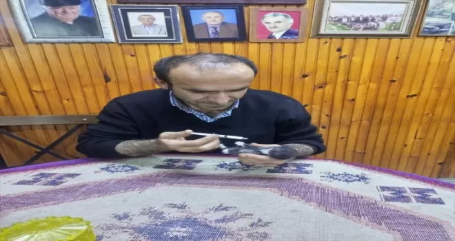 Trabzon’da anneleri telef olan 3 kedi yavrusuna yayla sakini sahip çıktı