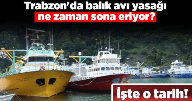 Trabzon’da balık avı yasağı ne zaman sona eriyor? İşte o tarih