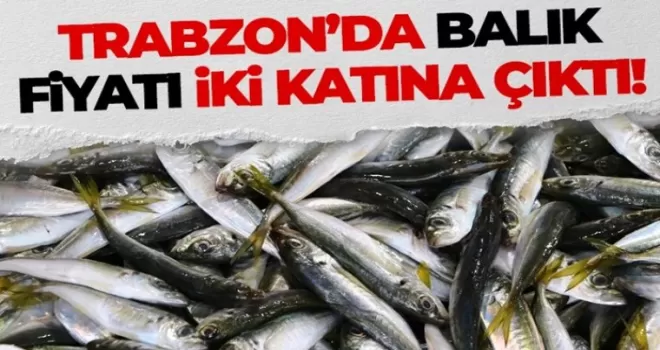 Trabzon’da balık fiyatı iki katına yükseldi!